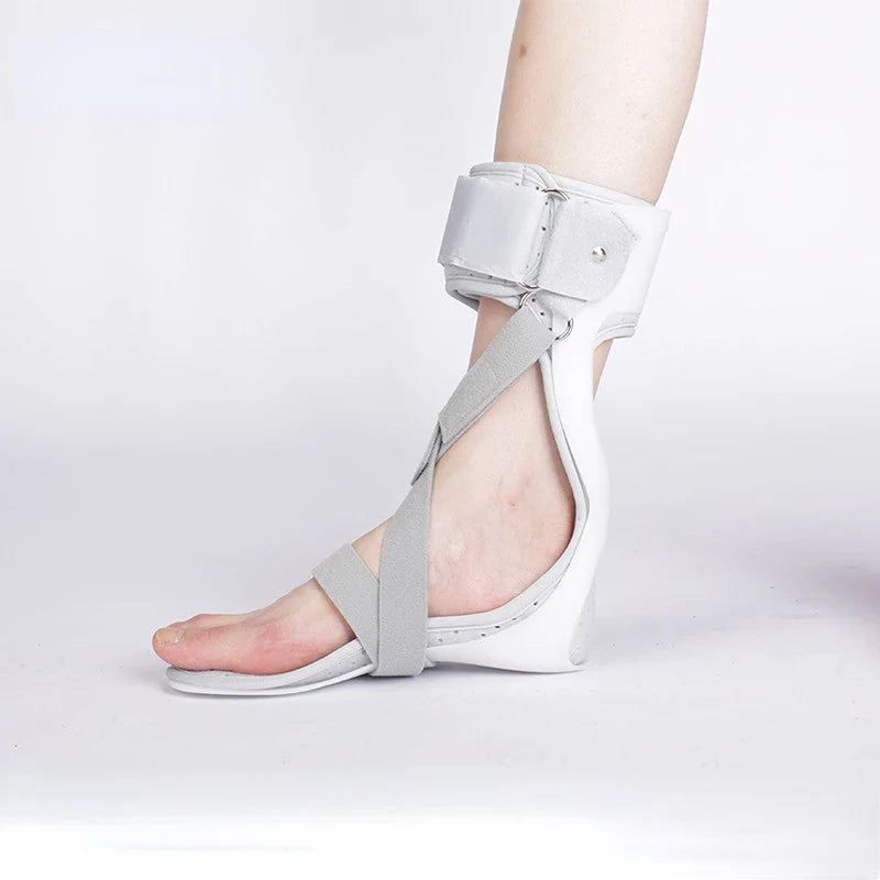 Releveur dynamique de pied
