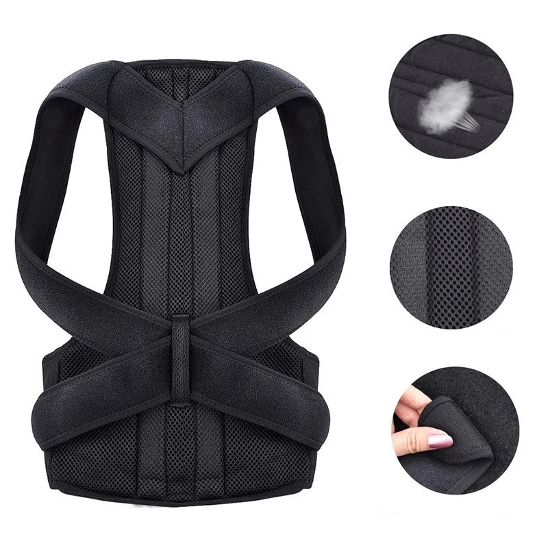 Ceinture dos droit