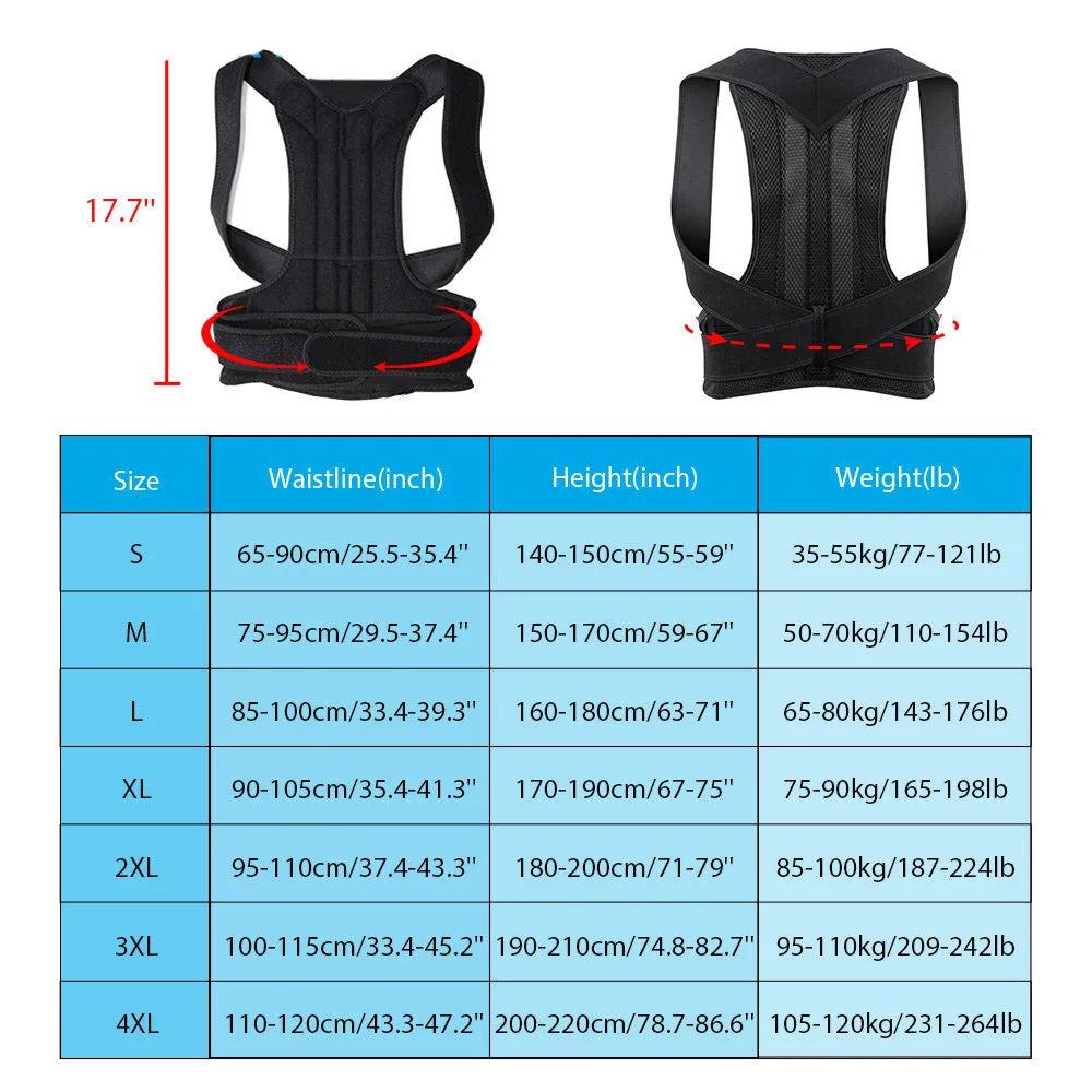 Ceinture dos droit