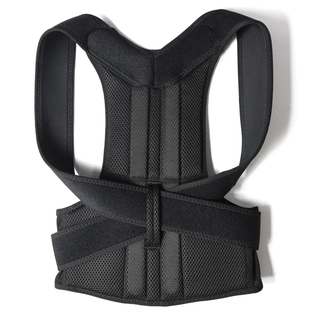 Ceinture dos droit